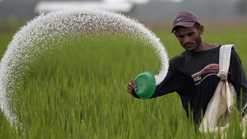 fertilizers