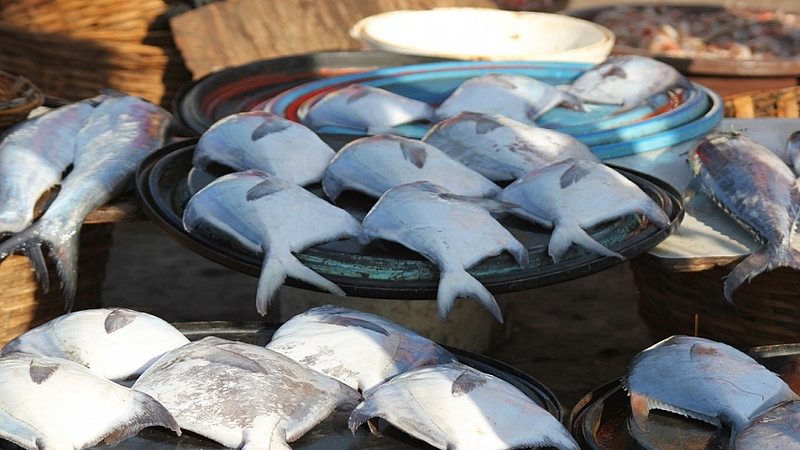 demand of rupees 25000 grants for each fisherwomen in sindhudurg