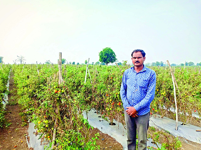 Pramod Aashtankar modern experiments in agriculture is worth lakhs Farmers news
