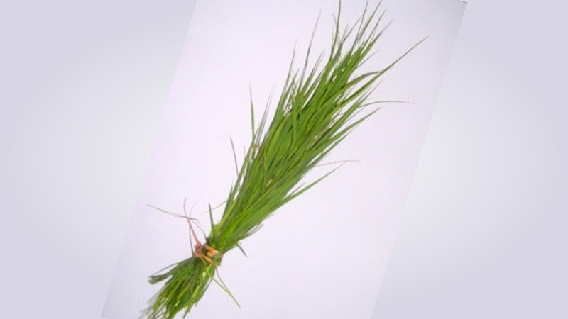 harali durva