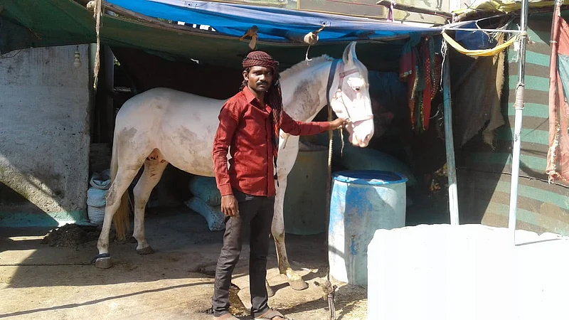 ikbal.