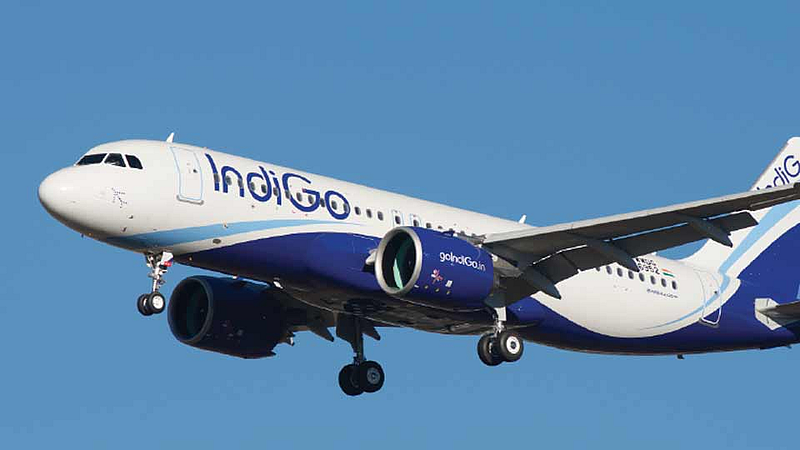 indigo