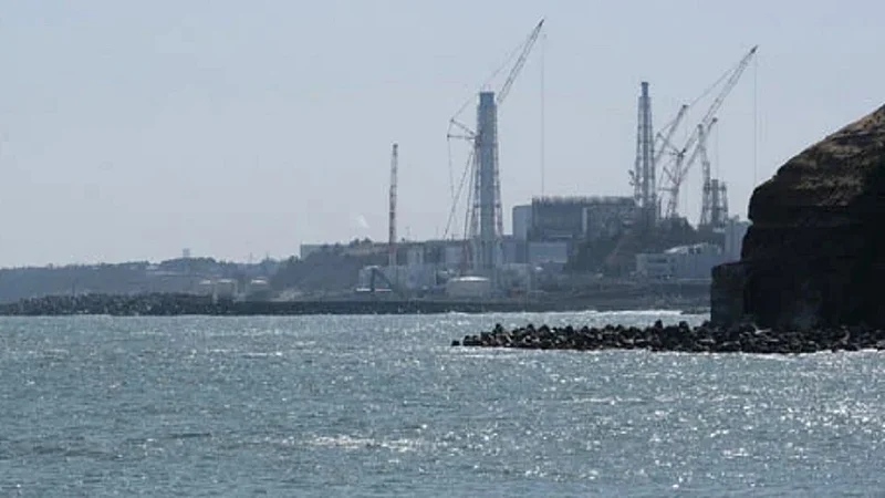 japan nuclear plant