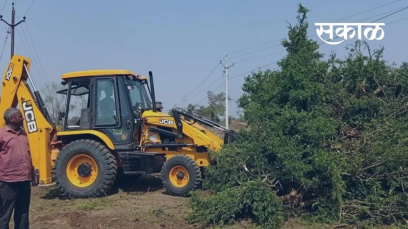 Akola Washim News JCB turns over 1.5 acres of pomegranate orchard}