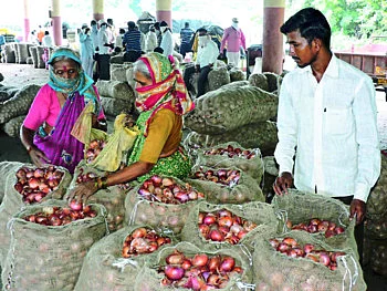 धुळे बाजार समितीत कांद्याची आवक घटली, दर घसरले !