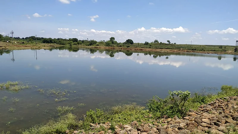 Kukdi canal water in Karamanwadi lake after ten years