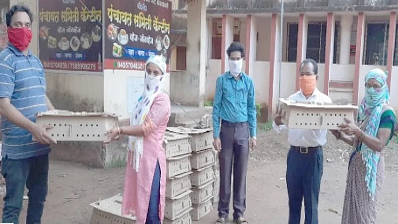 increased economic stability of women for poultry business