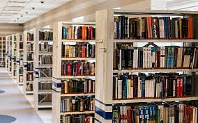 Library Employee