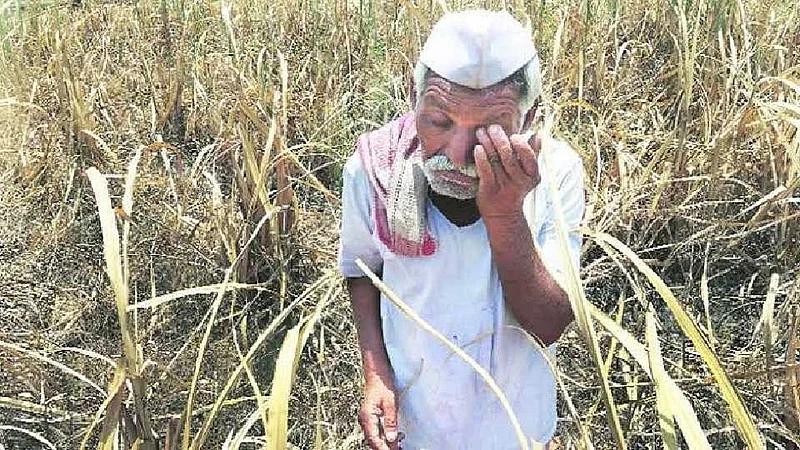 शेतकरी कर्जमाफी मिळणार पण कंडीशन्स अप्लाय..