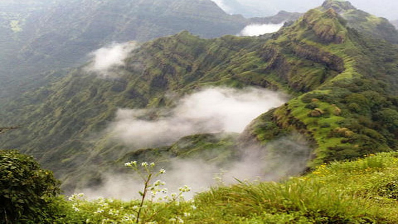 Video : महाबळेश्वरमध्ये दाटली धुक्याची दुलई!