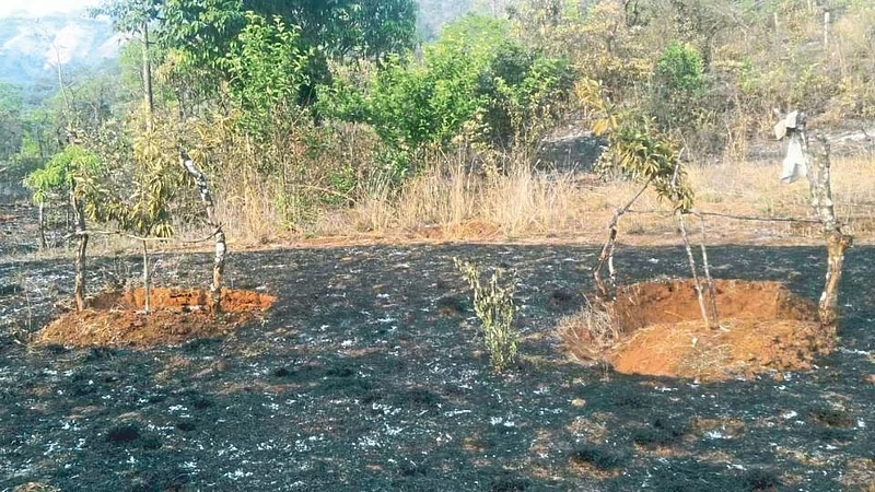 Satara Latest Marathi News