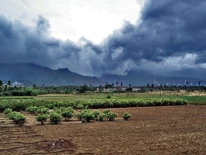 The monsoon will arrive in Vidarbha by June 15