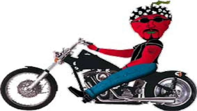 motarcycle