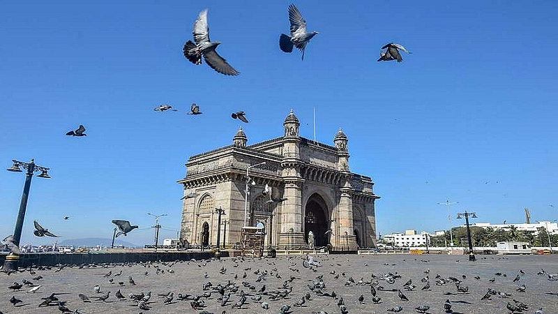 कोरोनामुळे आपल्या आसपास झालेत 'हे' चांगले बदल; बातमी वाचाल तर छान वाटेल...
