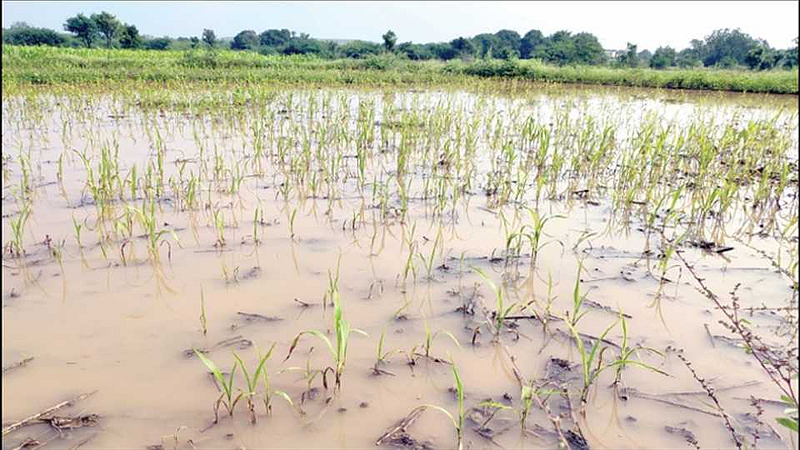 Wet drought is better than dry drought