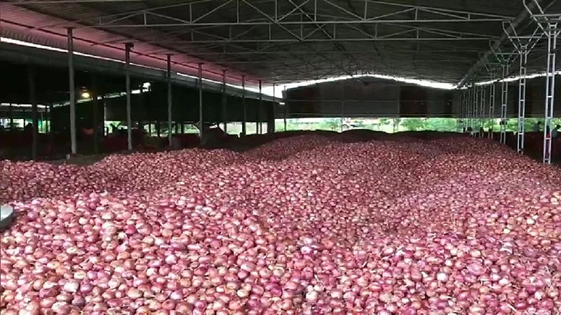 onion