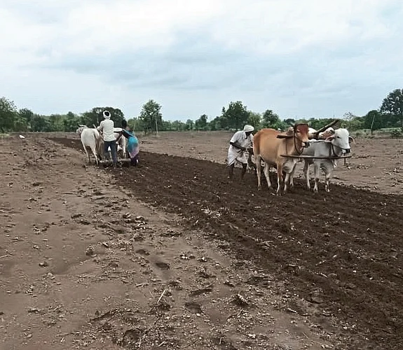 hingoli photo