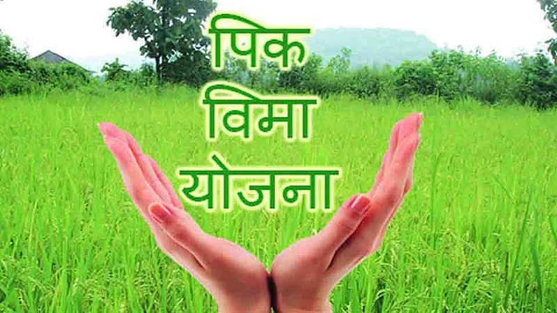akola washim Pradhan Mantri Pik Bima Yojana for kharif season, insurance premium can be paid till July 31; Optional scheme for borrower, non-borrower farmers