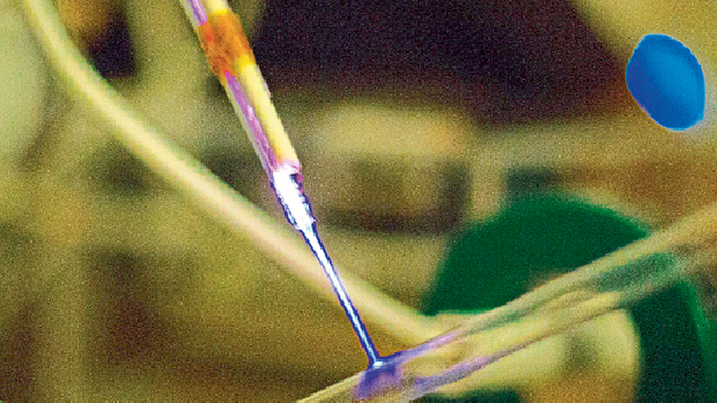 plasma