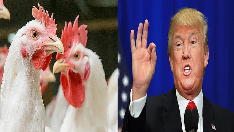 poultry.jpg