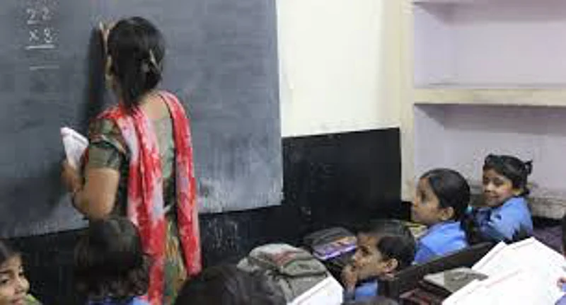primary teacher