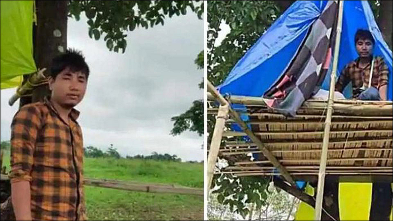 youth forced by villagers to quarantine in tree at assam