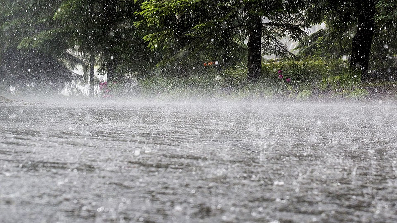 rain.jpg