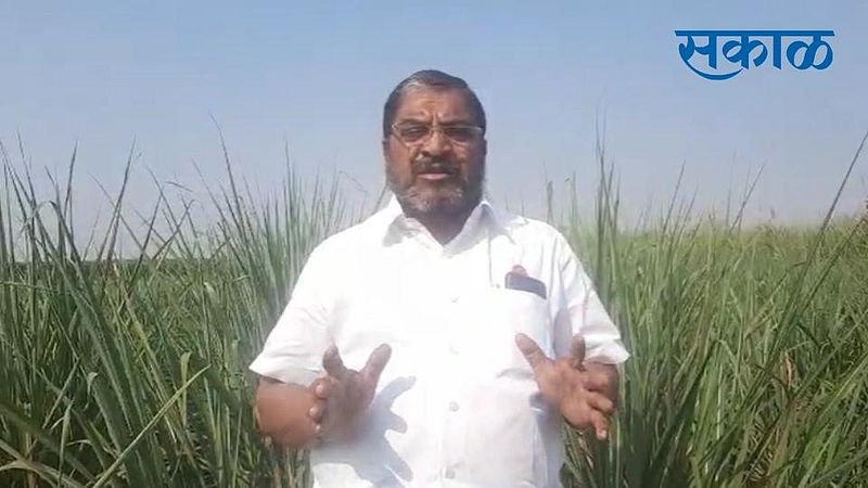 raju shetti