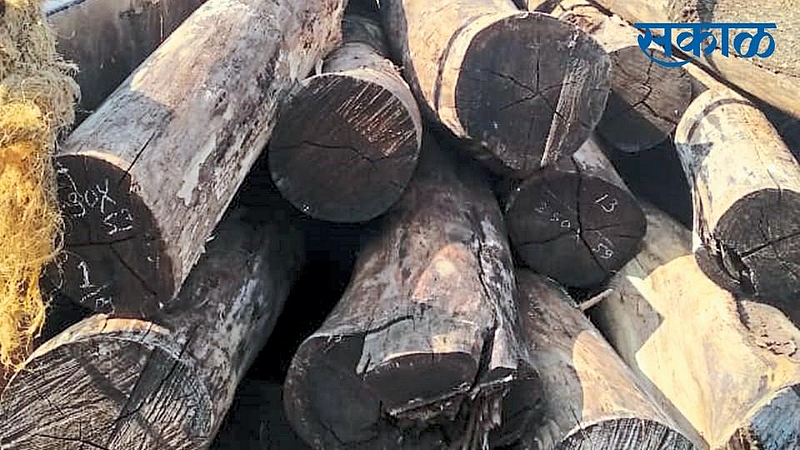 Timber smuggling