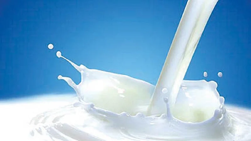 Dairy declares dividend instead of rebate per liter of milk