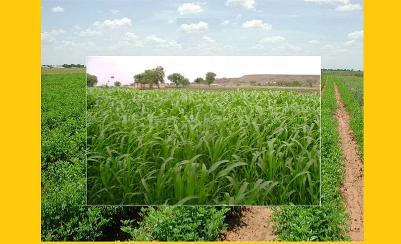 Obstruction from the state government for the fertilizer sent by Akola Marathi News Center BJP MLAs accuse state government, claiming abundant reserves in the state
