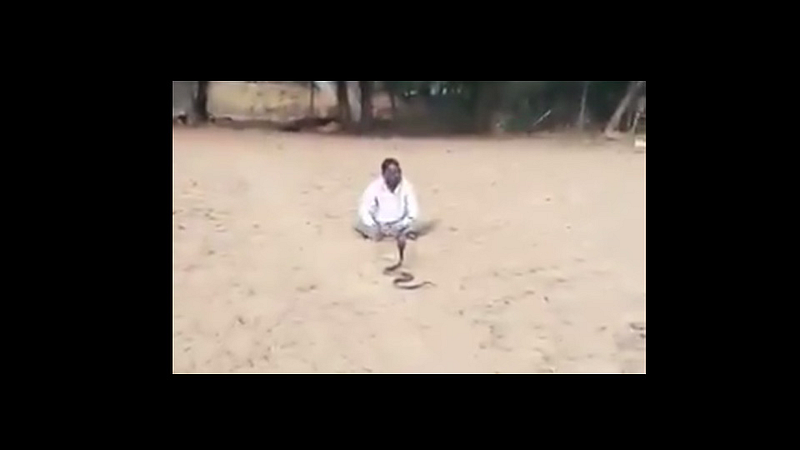 drunk man dance with cobra snake at rajasthan