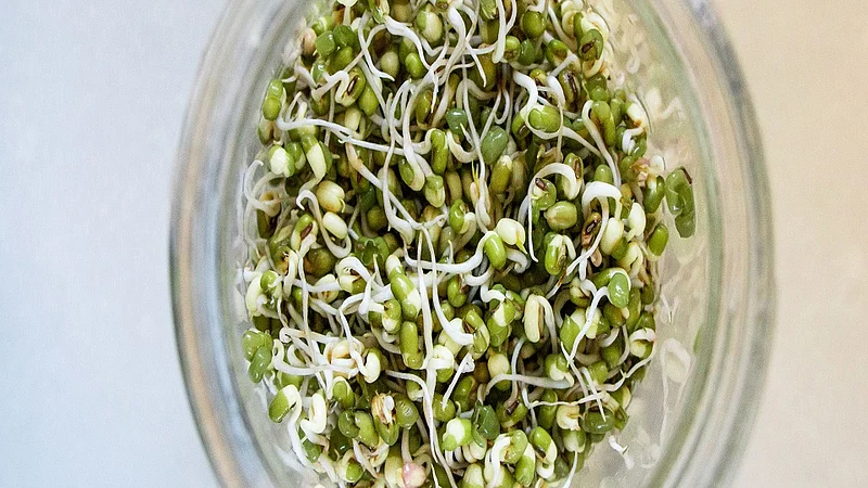 benefits of sprouts green mung bean