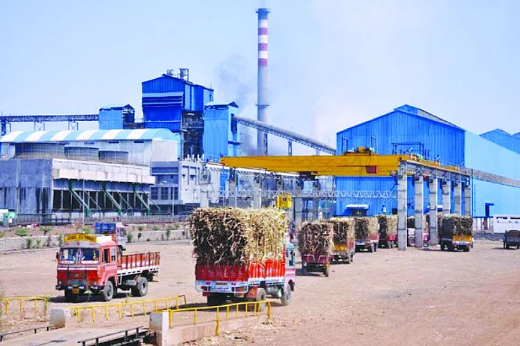 sugar-factory.jpg