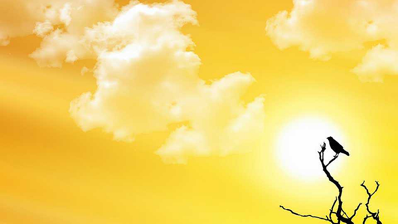 पाण्याची बाटली सोबत ठेवा, टोपी घाला, गॉगल लावा.. कारण मुंबई पेटलीये !