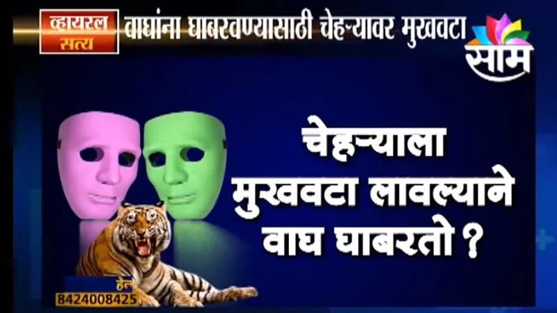 Viral Satya : चेहऱ्याला मुखवटा लावल्याने वाघ घाबरतो? (Video)