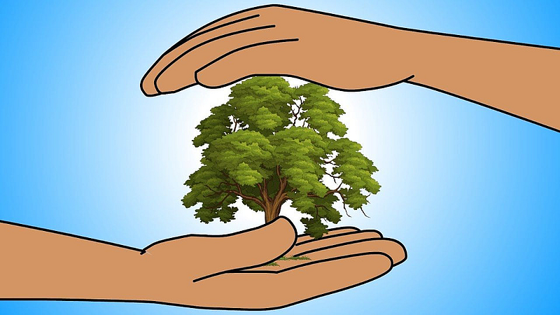 Akola News: Hundreds of years old trees will be cut down