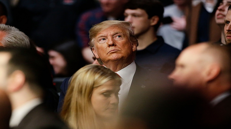 America, Election, US Election, Donald Trump