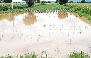farm water