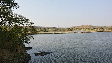 279 water resources contaminated in yavatmal