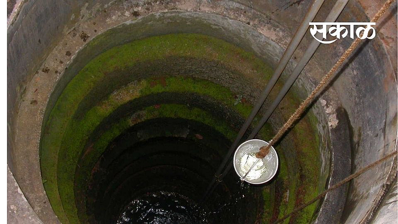Two leopards die after falling into a well in Bhandara district
