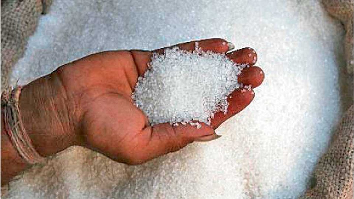 Karnataka Sugar Production साखर उत्पादनात बेळगाव जिल्हा अव्वल Sakal