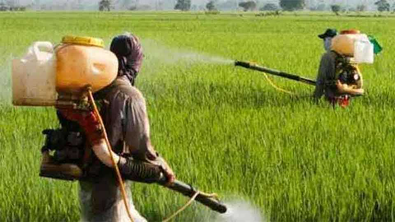 chemical fertilizers
