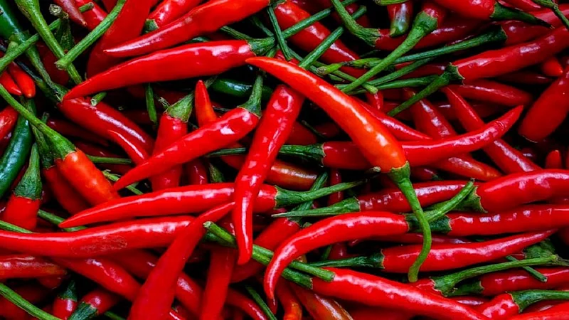 rates of chilli are high due to exporting