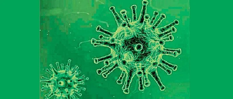 Coronavirus News Latur
