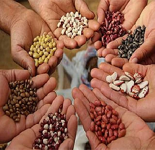 Bogus Seed