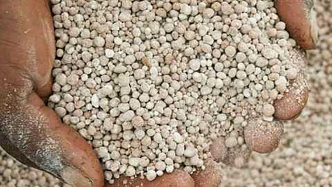 fertilizer