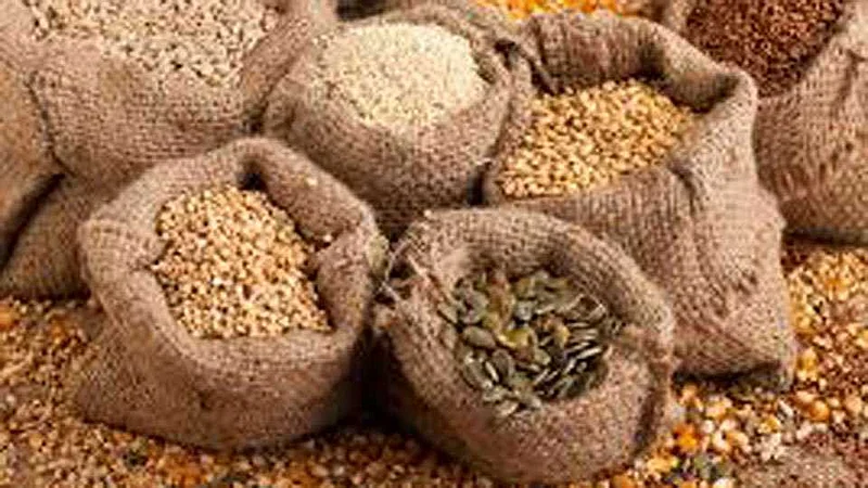 Latur Municipal Corporation News, Coronavirus