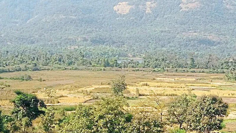 Problems Of Saline Land In Mandangad 25 Hectors Land Affected In Umberkhet