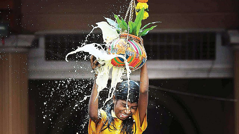dahi handi